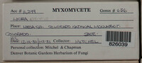 Image Associated With the Occurence